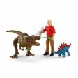 Playset Schleich 41465 5 Pieces Online