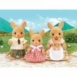 Set of Dolls Sylvanian Families Kangaroo Family on Sale