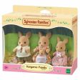 Set of Dolls Sylvanian Families Kangaroo Family on Sale