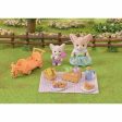 Playset Sylvanian Families 5698 Picnic Online