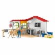 Playset Schleich Veterinarian practice with pets For Discount